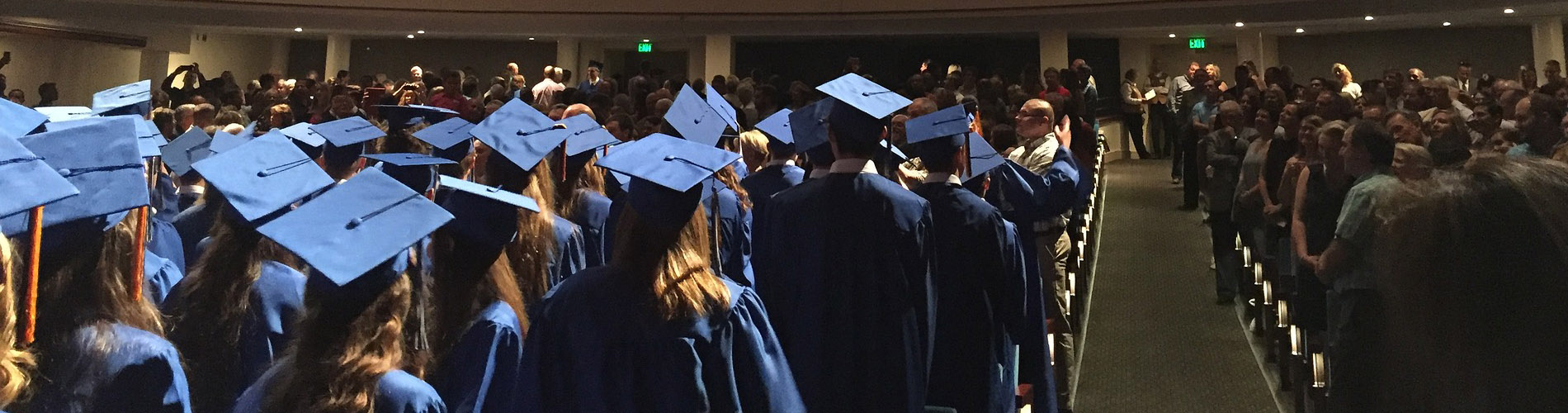 Selected topics from biomechanics: from dinosaurs to space flight