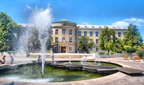 Webinar gostujočih visokošolskih učiteljev z Univerze Dunaújváros